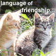 Share The Language Of Friendship.