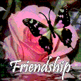 Heartfelt poem. Butterfly and rose reflection. Lovely music.