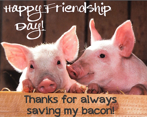 Thanks For Always Saving My Bacon!