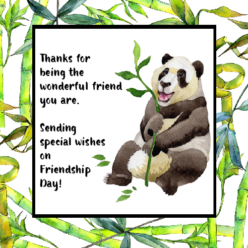Thanks Friend With Panda Bear.