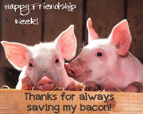 Thanks For Saving My Bacon, Friend.