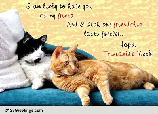 Lucky To Have You, Friend!