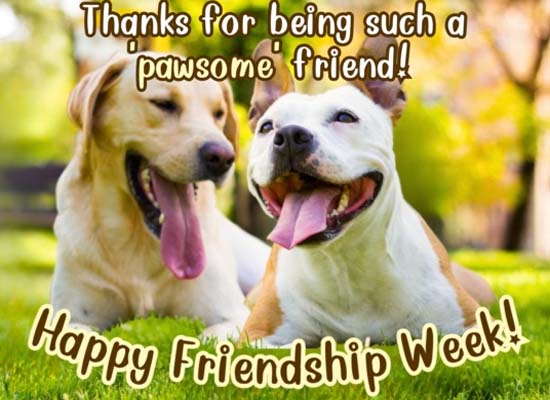 Perfect Wish For Your Friends! Free Friendship Week eCards | 123 Greetings