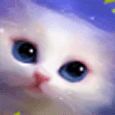 Kitty Needs Hugs.