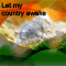 Let My Country Awake...