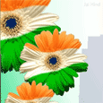 Warm Independence Day Greetings...