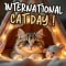 Send Purr Therapy To Loved Ones