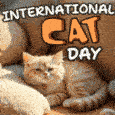 Send Cat Day Joy To A Cat Lover