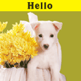 A Warm Hello!