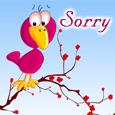 I Am Sorry Sweetie!