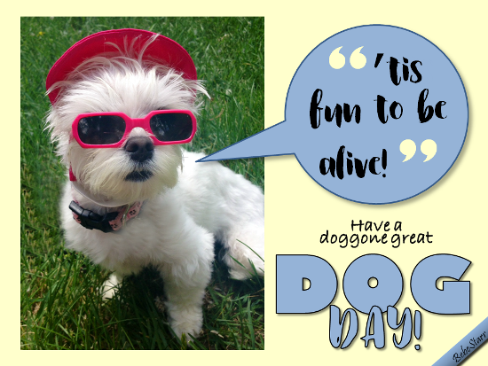 Send Dog Day Card!