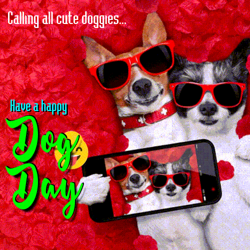 Calling All Cute Doggies