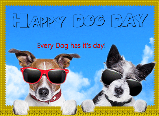 Every Dog Has It’s Day!