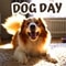 Send This To Your Dog Loving Pal
