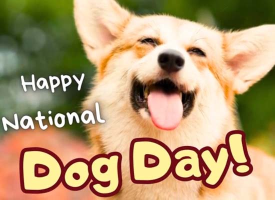 Happy Dog Day! Free Dog Day eCards, Greeting Cards | 123 Greetings