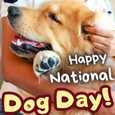 Happy Dog Day!