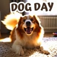 Send This To Your Dog Loving Pal