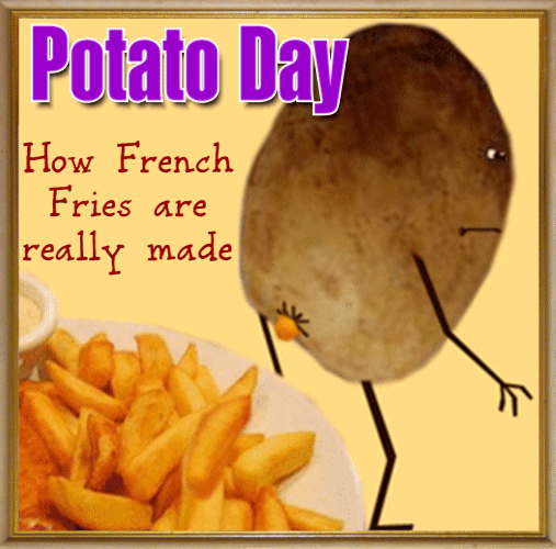 How French Fries Are Made?