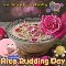 Let%92s Enjoy Rice Pudding!