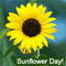 A Smiling Sunflower!