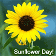 A Smiling Sunflower!