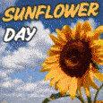 Look What Is Blooming Today!