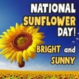 Know Someone Who Always Brings Joy?