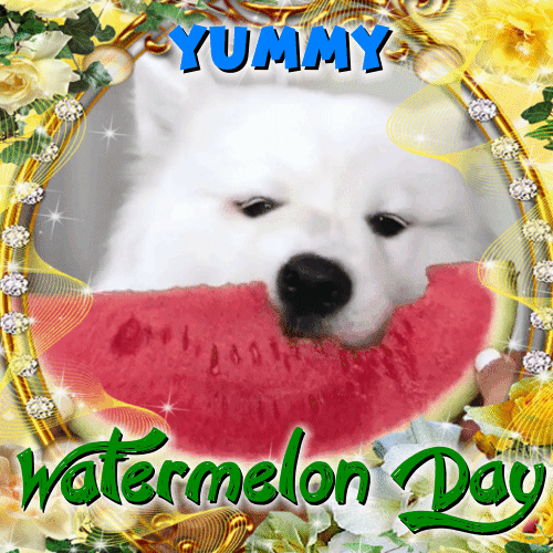 Yummy Watermelon Day.