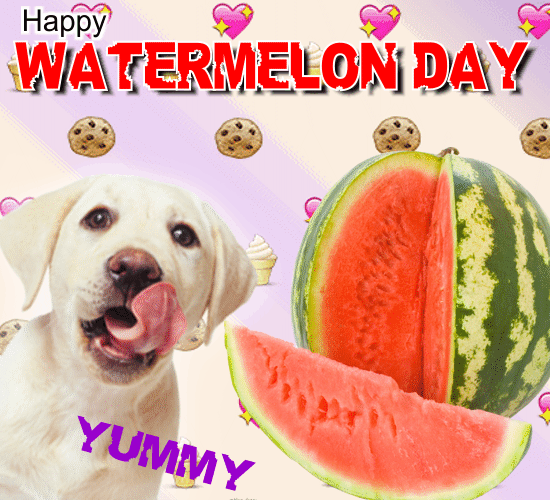 A Yummy Watermelon Day Card For You.
