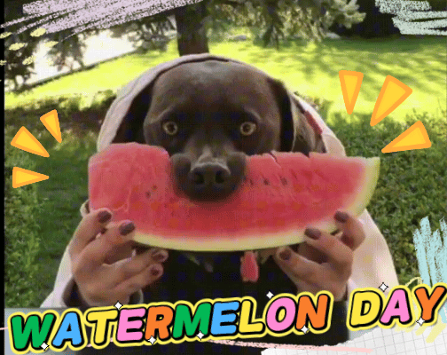 I Love Watermelon!