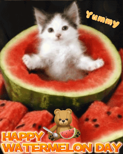 Celebrate And Eat Watermelon.