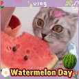 The Taste Of Watermelon.