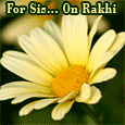 Rakhi Wishes For Your Sis.
