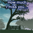 A Miss You Card.