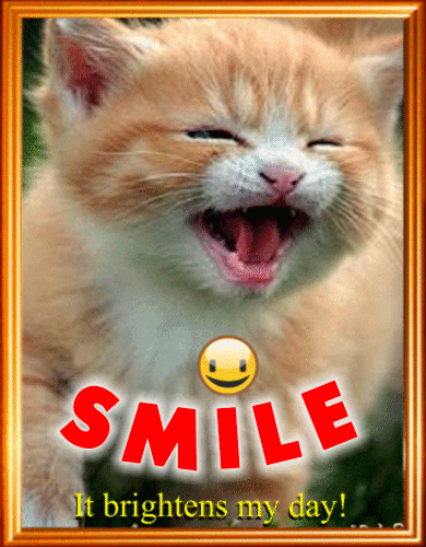 Smiling Kitty.