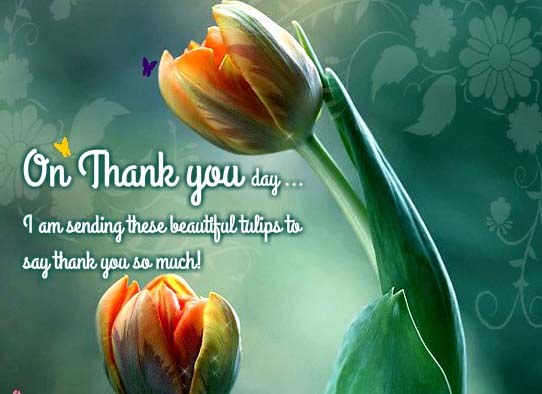 Thank You For Your Special Wishes. Free Thank You Day eCards | 123 ...