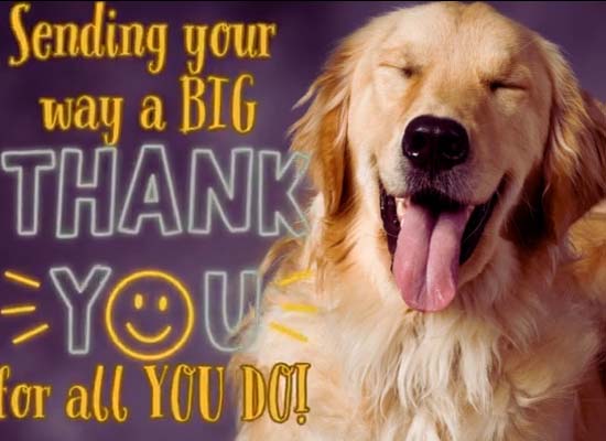 Big Thank You On Thank You Day! Free Thank You Day eCards | 123 Greetings