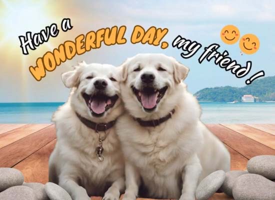 Send Thank You To Your Friend.