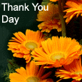 Warm Wish On Thank You Day.
