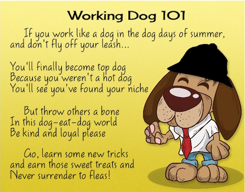 Working Dog 101!