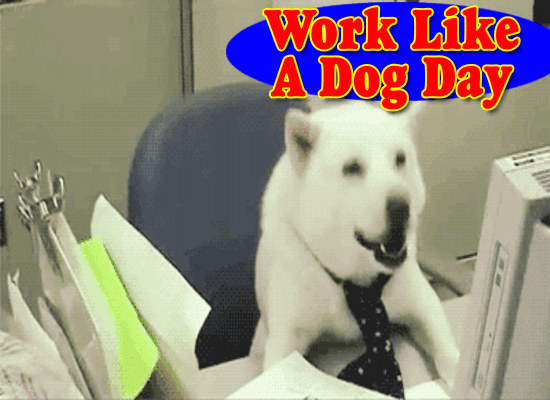 Work, Work, Work Like A Dog.
