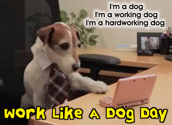 Working Dog...