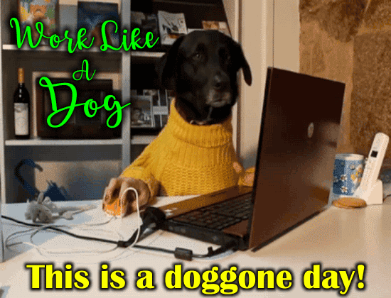 A Doggone Day!