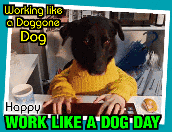 Work Like A Doggone Dog.