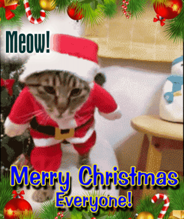 Christmas Cat. Free Christmas Eve eCards, Greeting Cards | 123 Greetings