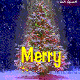 Blessings For A Wonderful Family!