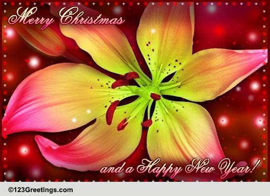 Christmas Flowers! Free Flowers eCards, Greeting Cards | 123 Greetings