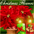 Christmas Floral Wishes!