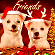 Christmas Wish For A Special Friend!