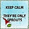 Keep Calm They%92re Only Sprouts!
